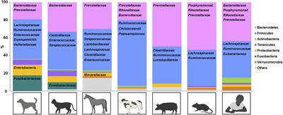 Inflammation-Associated Microbiota Composition Across Domestic Animals